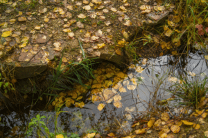 tranchée d'irrigation dans un jardin permacole