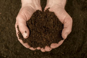 Deux mains qui tiennent du compost réalisé avec la méthode de bokashi