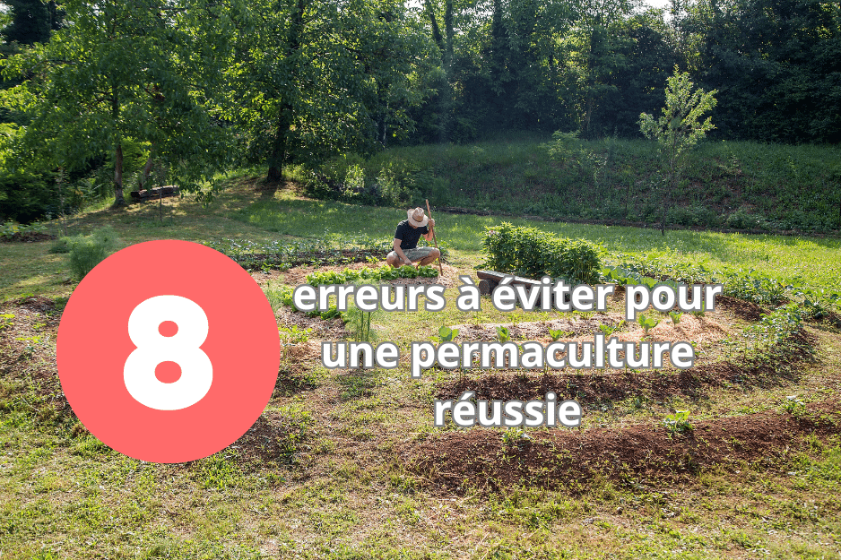 You are currently viewing Les 8 erreurs à éviter pour une permaculture réussie