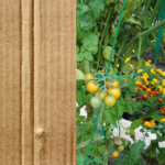 Réutilisez le carton au jardin : une solution écolo et efficace pour votre jardin permacole