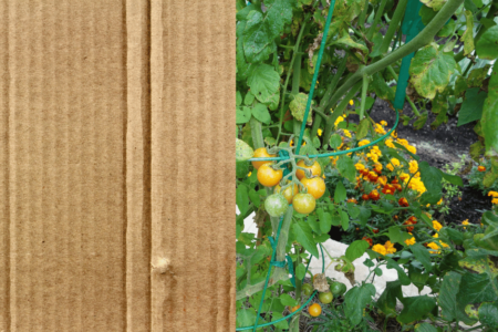 Réutilisez le carton au jardin : une solution écolo et efficace pour votre jardin permacole