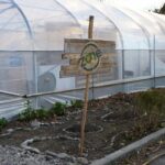 Comment construire une serre autonome en permaculture : guide pratique